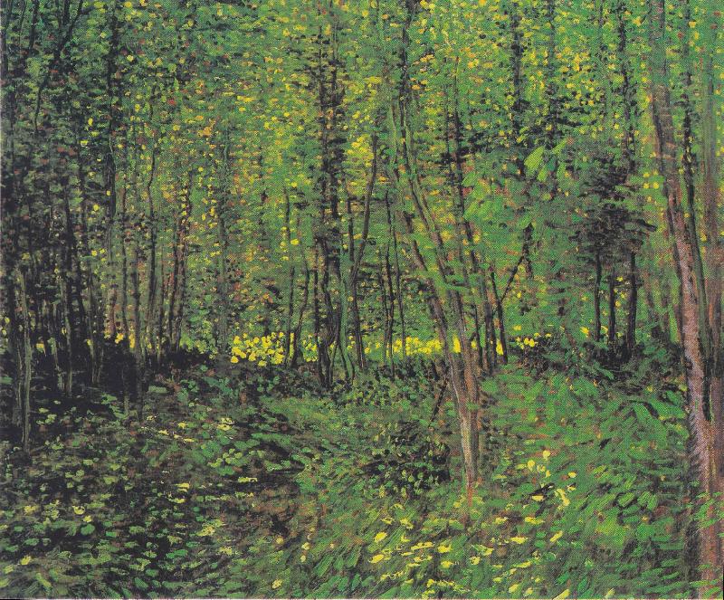 Vincent Van Gogh Trees and underwood Norge oil painting art